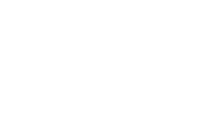 Google-Partner